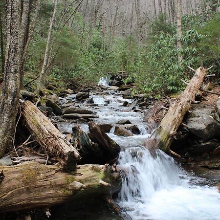 Gorgeous Large Mountain View Cabin W Hot Tub, Free Wifi, Games Villa Sevierville Buitenkant foto