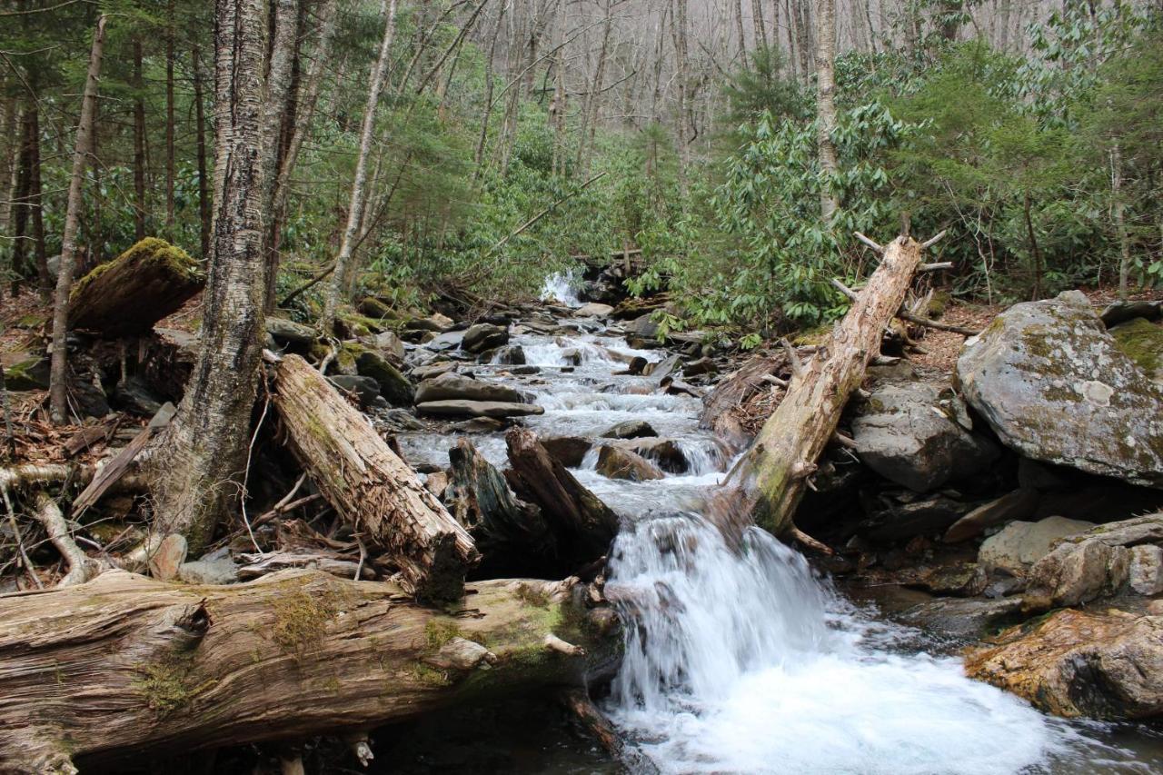 Gorgeous Large Mountain View Cabin W Hot Tub, Free Wifi, Games Villa Sevierville Buitenkant foto