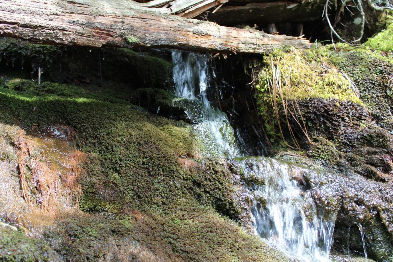 Gorgeous Large Mountain View Cabin W Hot Tub, Free Wifi, Games Villa Sevierville Buitenkant foto